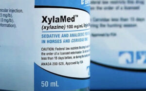 Understanding Xylazine