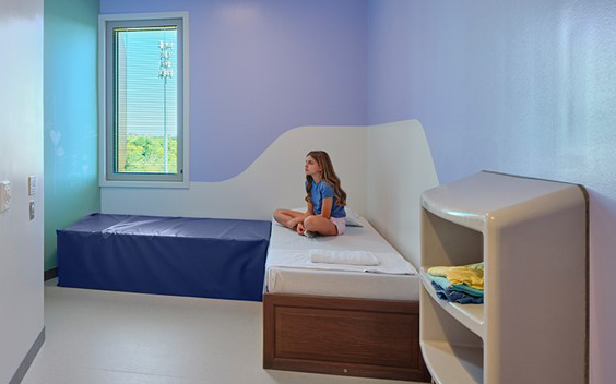 Rethinking Psychiatric Care for Youth in Crisis: Ethical & Structural Challenges in a Bedless System